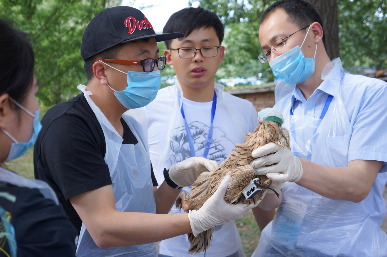 中国生物多样性监测网络鸟类多样性监测培训班