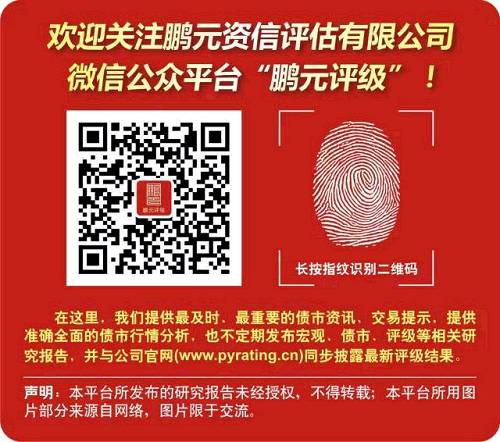 鹏元研究 | 一般公司主体绿色债券发行实务详解