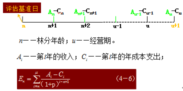 收益法评估森林资源