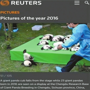 路透社2016年度图片。