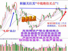 金融资产管理公司