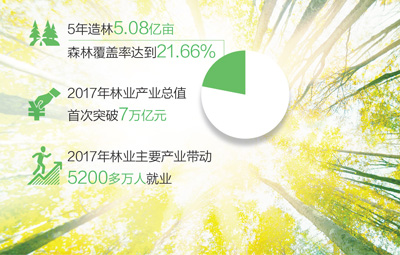 全球森林资源 中国增长最多