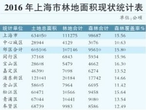 完善森林资源监测体系 摸清上海森林“家底”